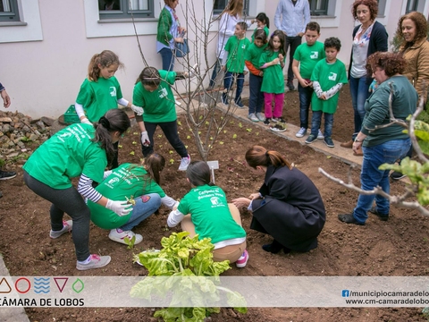 Plantação de alfaces, abóboras e plantas aromáticas pelos alunos e professores e representantes da autarquia, nas comemorações da Semana da Primavera Biológica.